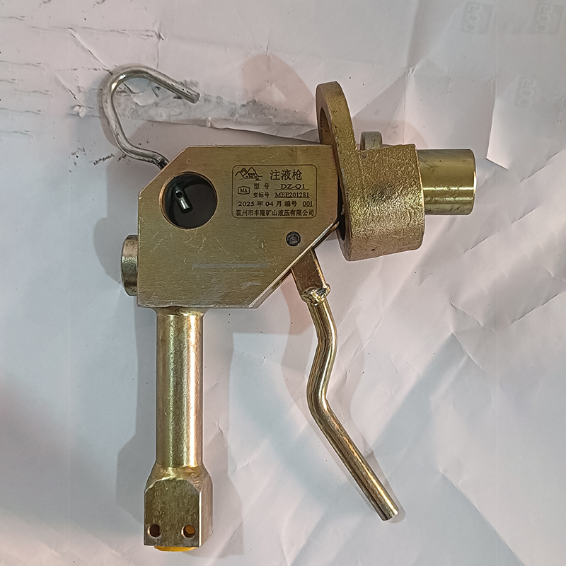 DZ-Q1